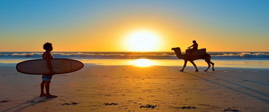 Camel Treks and surfing in Dakhla