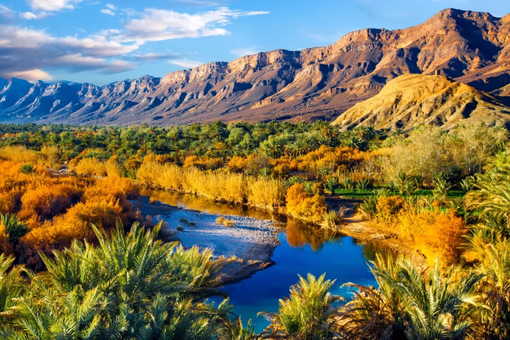 The Draa Valley in Morocco with palm groves and desert landscapes