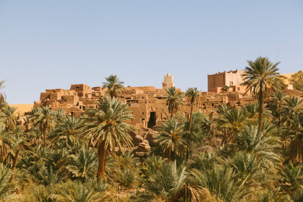 Aït Ben Haddou fortress village surrounded by palm trees and desert vegetation under a clear blue sky