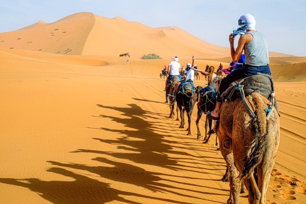 Camel caravan crossing the Moroccan Sahara desert under golden dunes, symbolizing Morocco’s vast landscapes and poetic travel experiences.