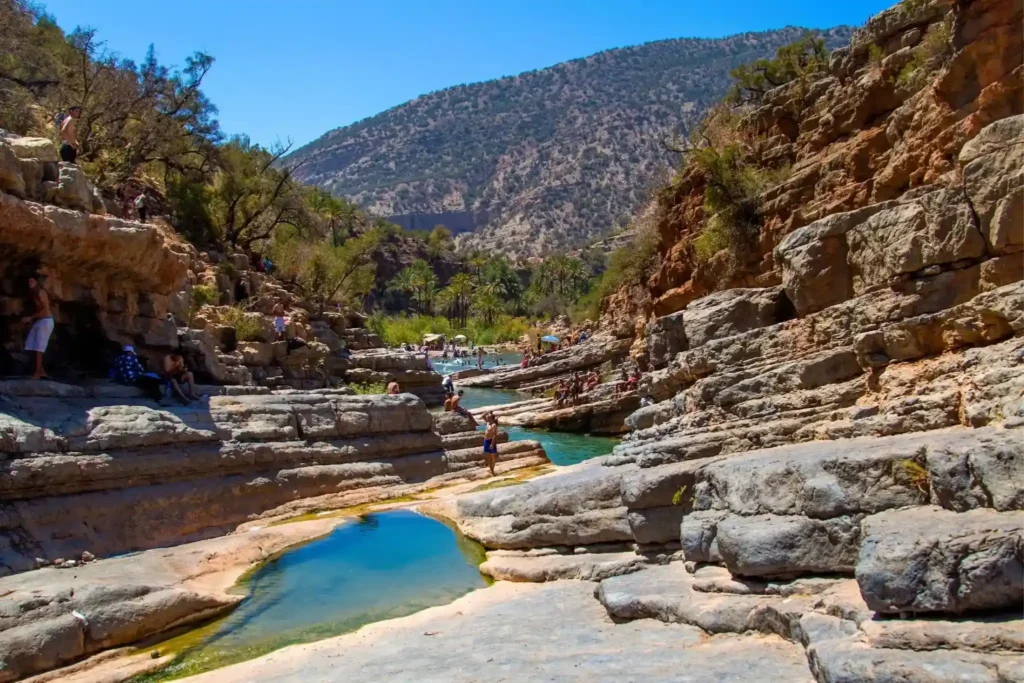 The Paradise Valley