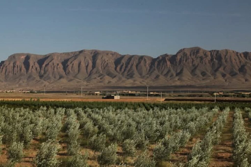 Berber valley Morocco cycling landscape
