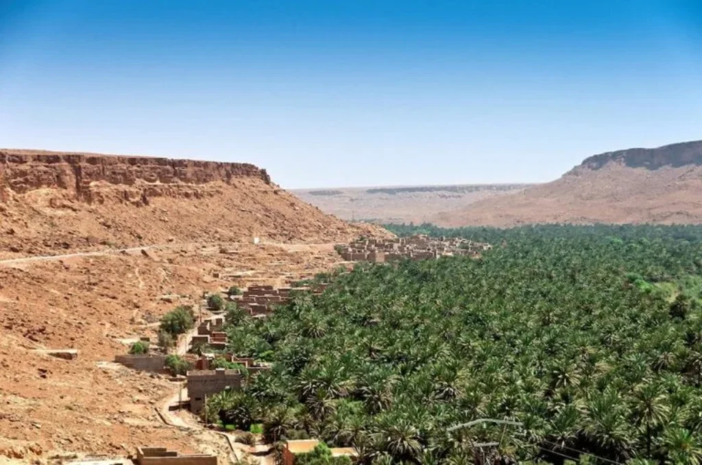 The Ziz Oasis – The Largest Oasis in Morocco