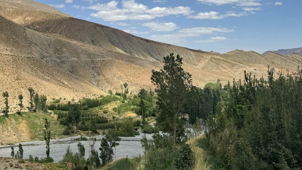 The Oasis of the Valley of Roses