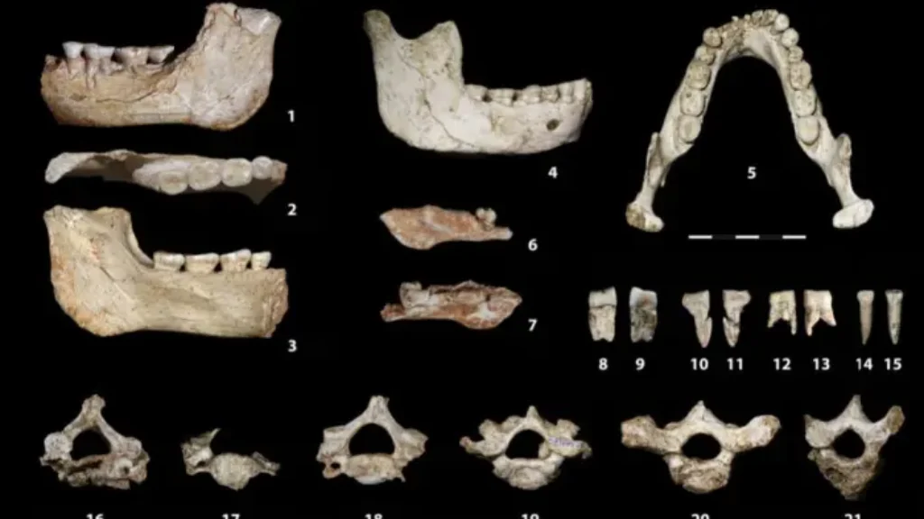 773,000-year-old human fossils in Morocco