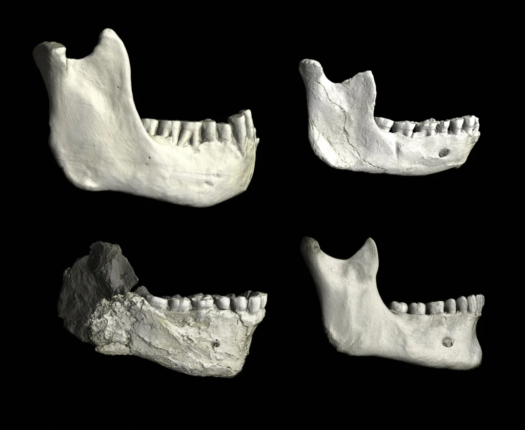 773,000-year-old human fossils in Morocco
