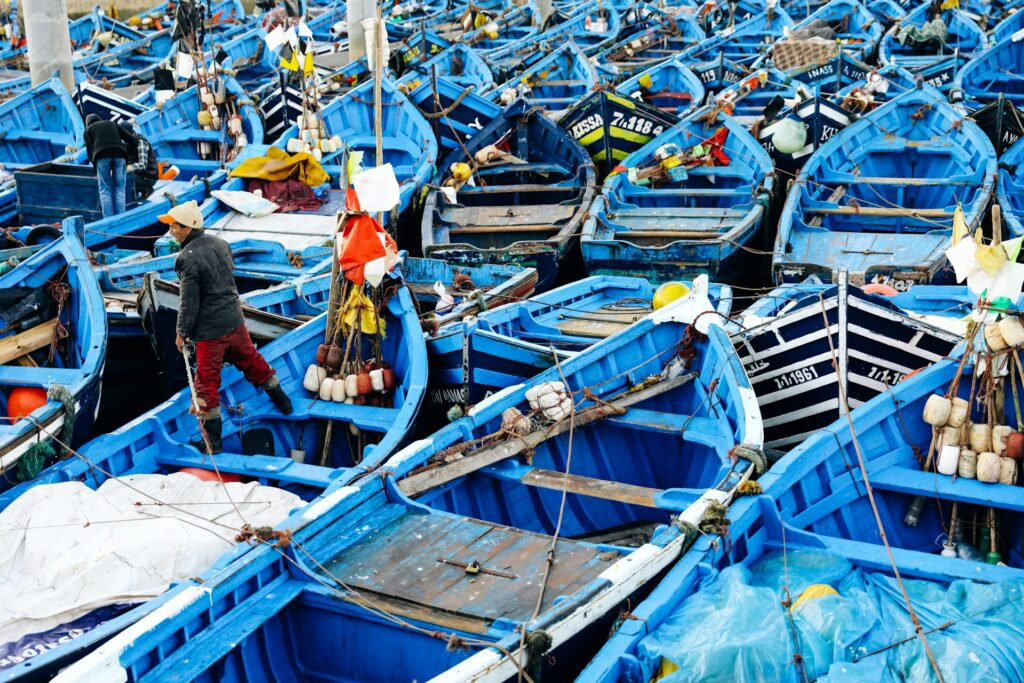 Traditional blue fishing boats packed together at the fishing port of Essaouira