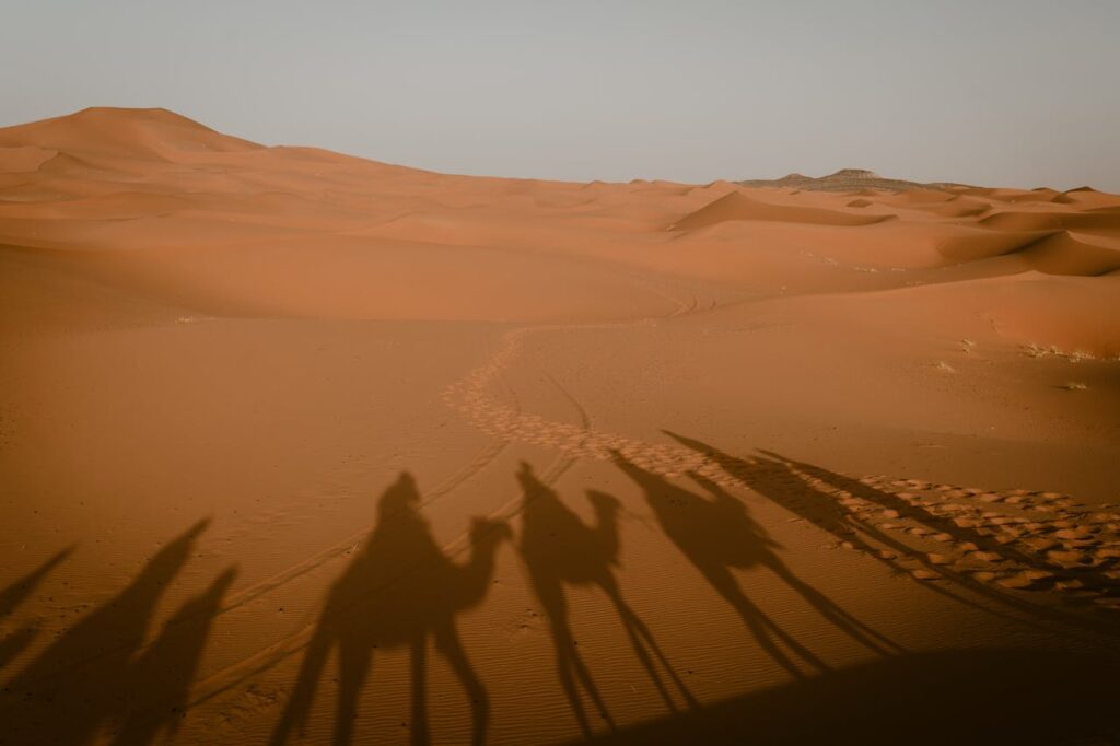 Camel caravan shadows stretching across golden dunes at sunrise in Merzouga, Sahara Desert weather Morocco
