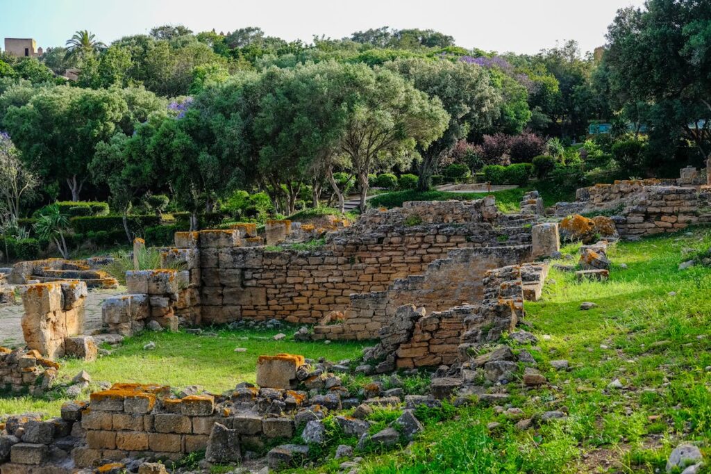 Ancient Roman ruins surrounded by greenery at the Chellah archaeological site in Rabat Morocco