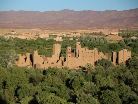 Ancient kasbah ruins surrounded by palm trees near Kelaat M Gouna with Atlas Mountains in the background, Morocco