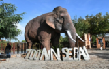 Aïn Sebaâ Zoo Reopens in Casablanca: Prices, Opening Hours and Activities