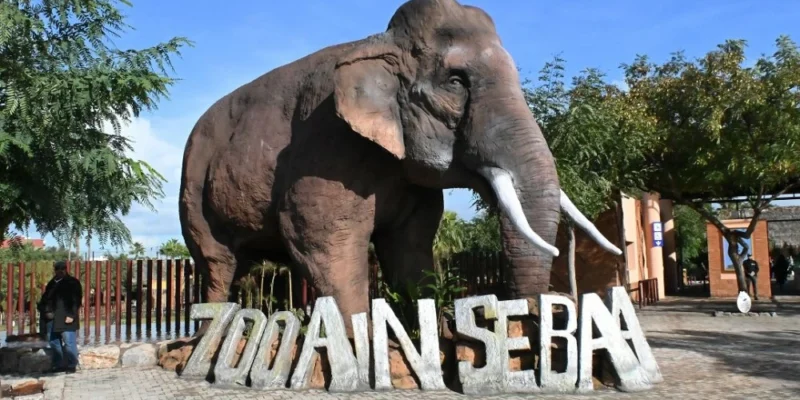 Aïn Sebaâ Zoo Reopens in Casablanca: Prices, Opening Hours and Activities