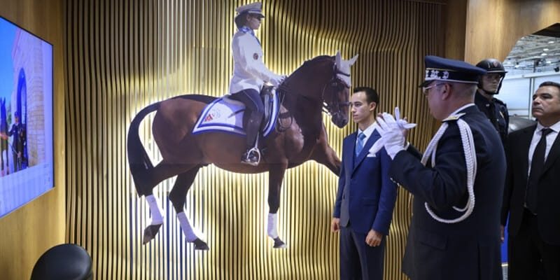 Salon du Cheval d’El Jadida 2025: Morocco Shines as a Leading Equestrian Destination