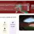 Moroccan Airports Record 868,000 Passengers in 10 Days as AFCON 2025 Begins with a Major Success