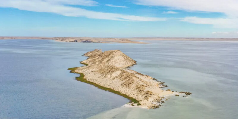 Dragon Island in Dakhla: The Ultimate Travel Guide to Morocco’s Wild Lagoon Paradise