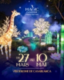 Magic Garden Light Festival arrives in Casablanca