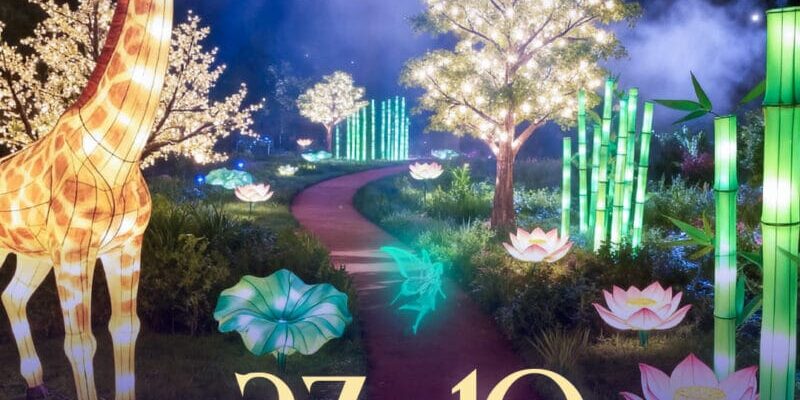 Magic Garden Light Festival arrives in Casablanca