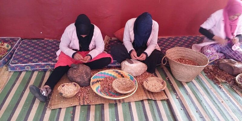 Agadir Celebrates Morocco’s Heritage at the International Argan Tree Fair