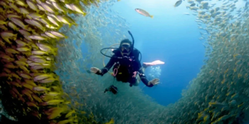Best Water Sports in Morocco: Surf, Sail & Dive into Adventure