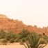 Morocco Sets a New Standard for Accessibility at AFCON 2025