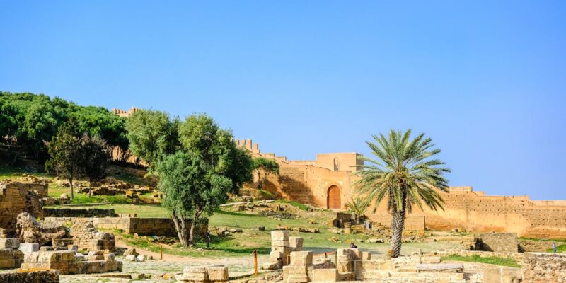 Emerging Archaeological Openings to Watch Near Rabat and Chellah