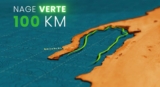 100 km Swim in Dakhla Lagoon Marks a Major Sporting Feat for the Green March Anniversary