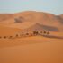 Dakhla Rising: Where the Sahara Desert Embraces the Atlantic Ocean