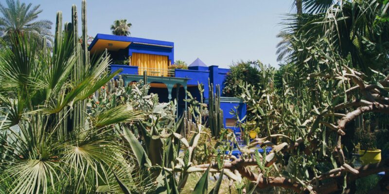 Majorelle Garden: The Electric Blue Masterpiece of Marrakech