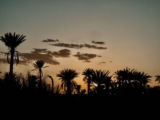 Skoura Oasis Morocco Travel Guide, Best Kasbahs, Things to Do, and Hidden Desert Gem Near Ouarzazate