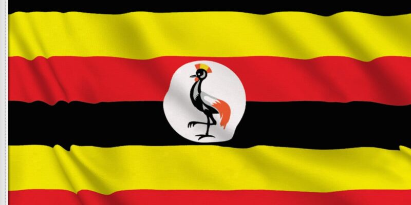 Uganda reveal provisional squad ahead of AFCON 2025 in Morocco